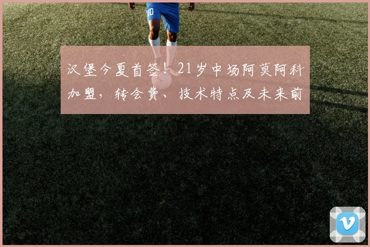 汉堡今夏首签!21岁中场阿莫阿科加盟,转会费、技术特点及未来前景深度解析
