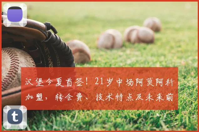 汉堡今夏首签!21岁中场阿莫阿科加盟,转会费、技术特点及未来前景深度解析