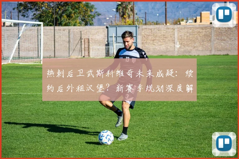 热刺后卫武斯科维奇未来成疑:续约后外租汉堡?新赛季规划深度解析